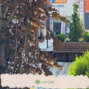Marassa Konak